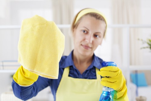 Professional upholstery cleaning for a Kensington living room sofa
