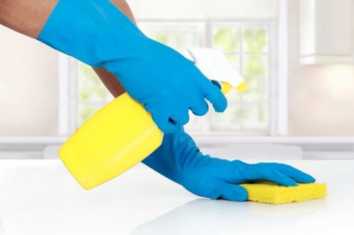 Professional rug cleaning service for Kensington homes and flats