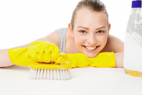 Professional oven cleaning service for Kensington homes and flats