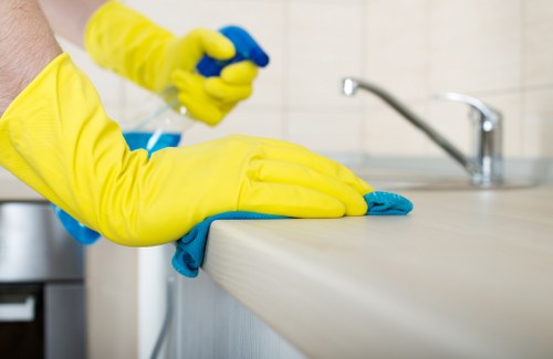 Kitchen appliance deep clean service in Kensington West London