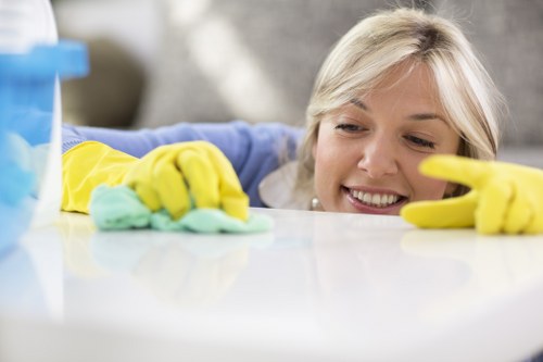 Reviewing details for a carpet cleaning complaint