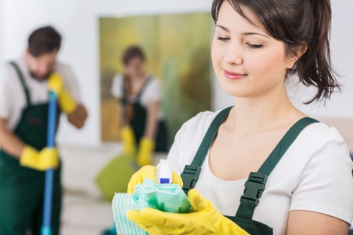 Careful stain removal service for sofas, rugs, and soft furnishings
