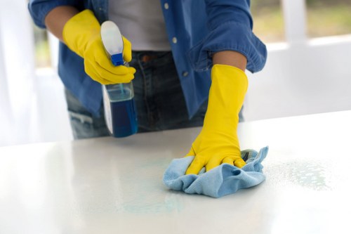 Local upholstery cleaning service for a Kensington flat interior